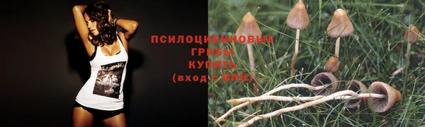 эйфоретик Армянск