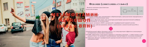 шишки Балабаново
