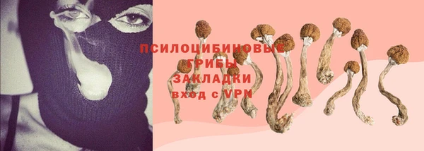 шишки Балабаново