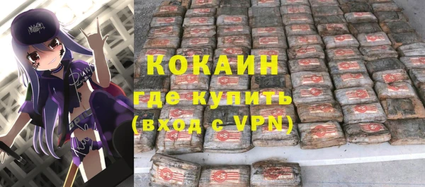 шишки Балахна