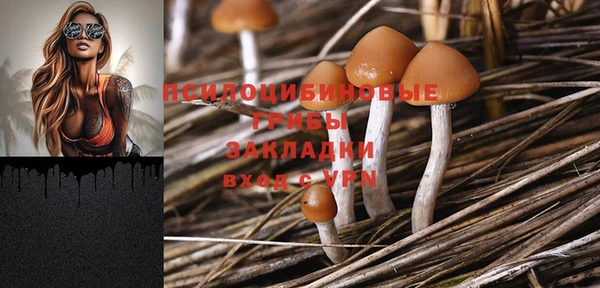 шишки Балабаново