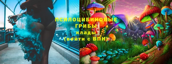 шишки Балабаново