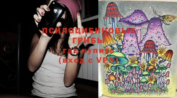 сатива Струнино