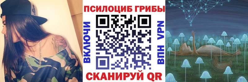 Псилоцибиновые грибы прущие грибы  Тара 